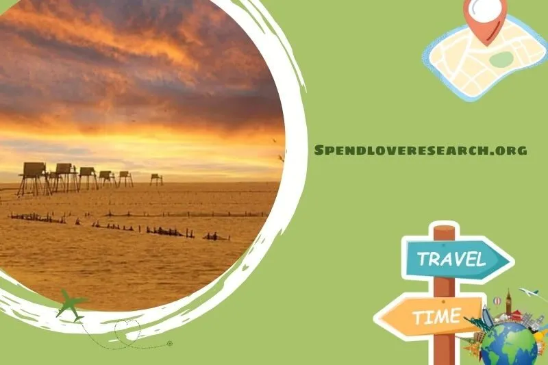 Bãi biển Cồn Vành