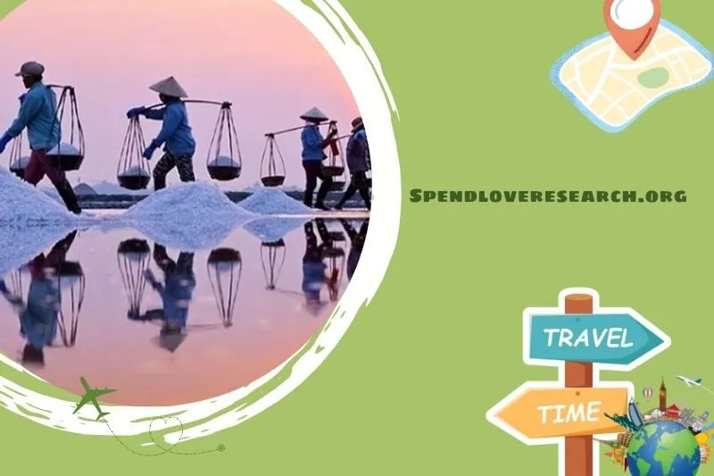 Cánh đồng muối Bạc Liêu