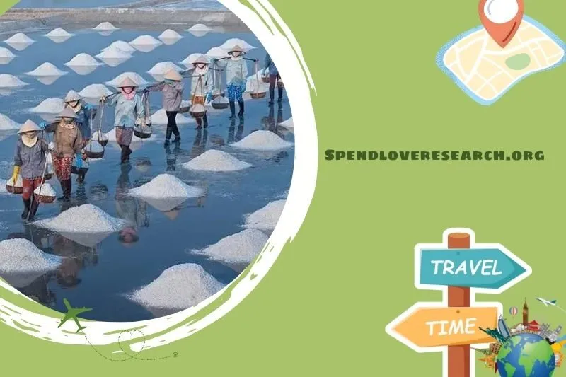 Cánh đồng muối Đầm Vua