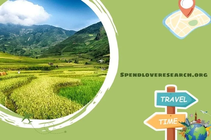 Cánh đồng Mường Lò