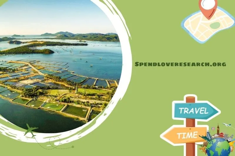 Đầm
