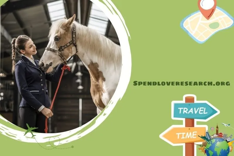 Đảo Vũ Yên - Vinpearl Horse Academy