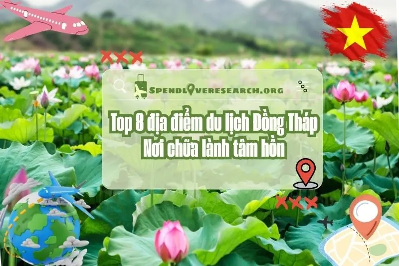 Khám phá 8 địa điểm du lịch Đồng Tháp: Nơi chữa lành tâm hồn 2025