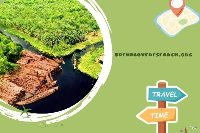 Rừng quốc gia U Minh Hạ