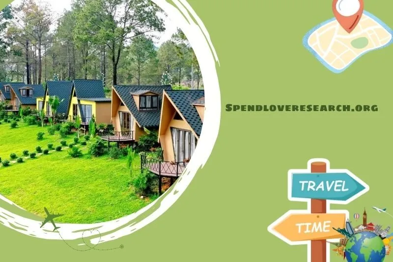 Rừng thông Bản Áng