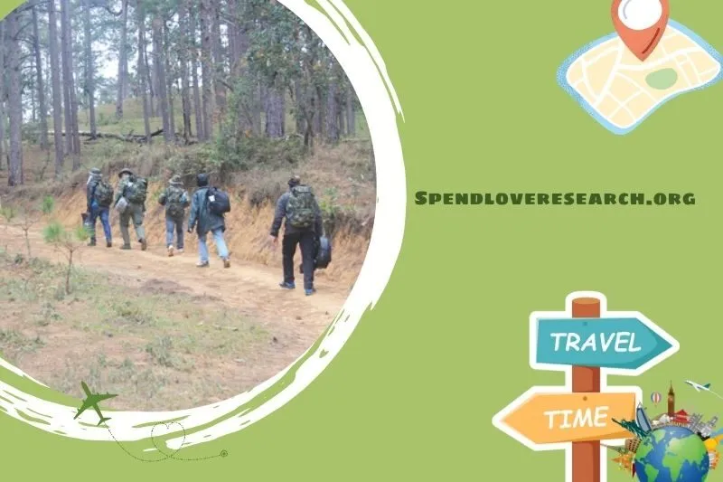 Rừng thông Noong Cốp