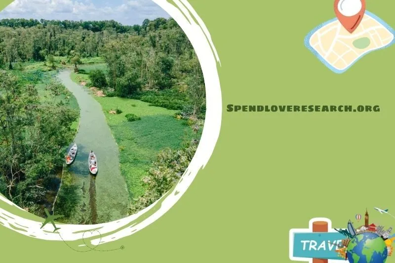 Rừng Tràm Trà Sư - An Giang