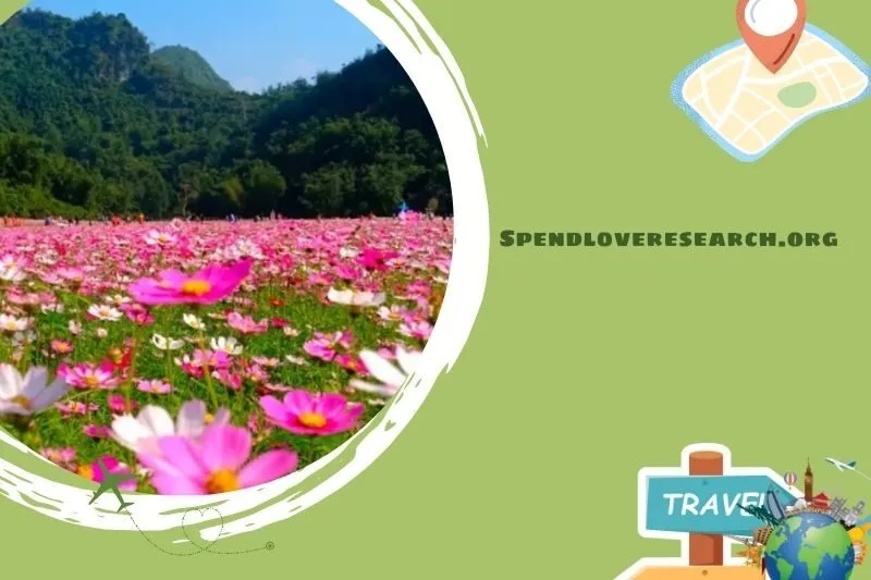 Thung lũng hoa Bắc Sơn