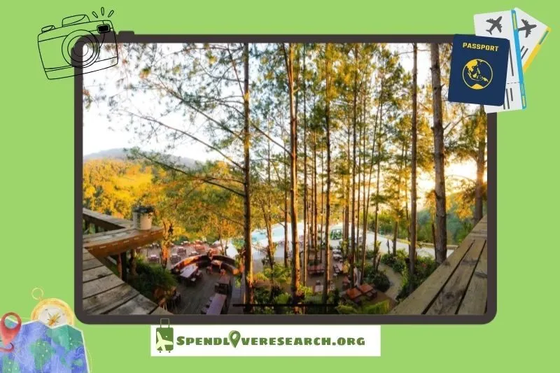 Giới Thiệu Về Cao Nguyên Hoa Đà Lạt