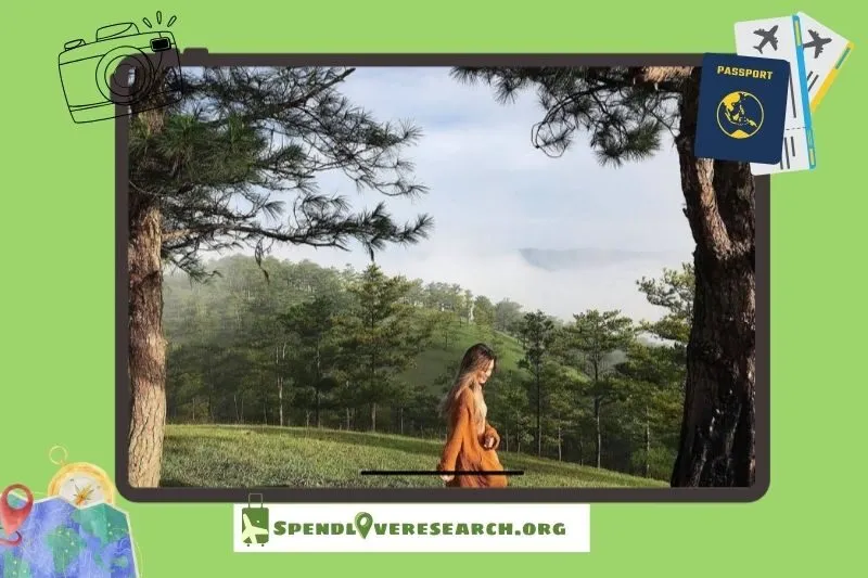 Hoạt động nổi bật tại đồi Robin Đà Lạt