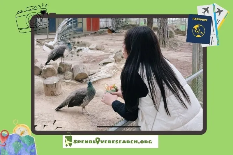 Hoạt động thú vị tại vườn thú ZooDoo Đà Lạt