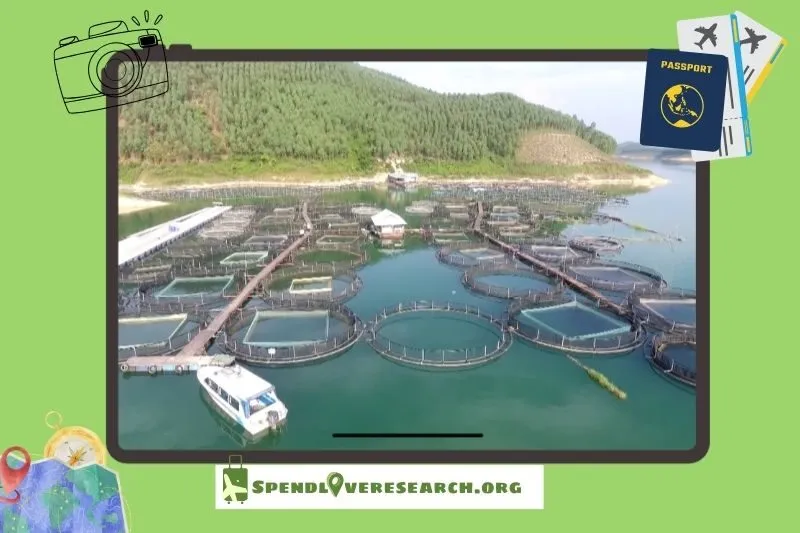 Khám phá khu vực lồng nuôi cá