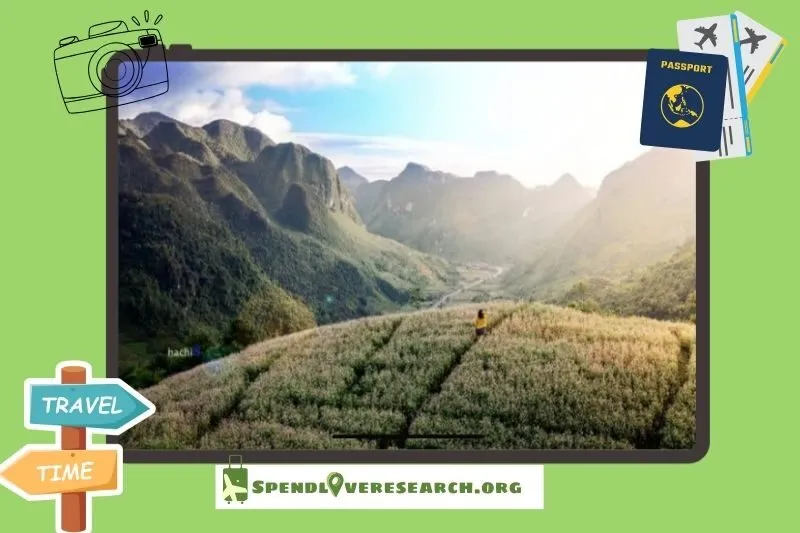 Kinh nghiệm tham quan vườn hoa tam giác mạch Tà Nung