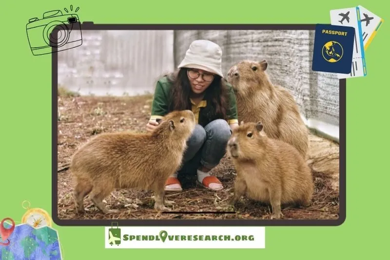 Kinh nghiệm tham quan vườn thú ZooDoo Đà Lạt