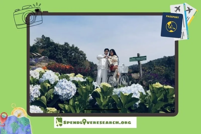 Những Trải Nghiệm Không Thể Bỏ Lỡ Khi Tham Quan Cao Nguyên Hoa Đà Lạt