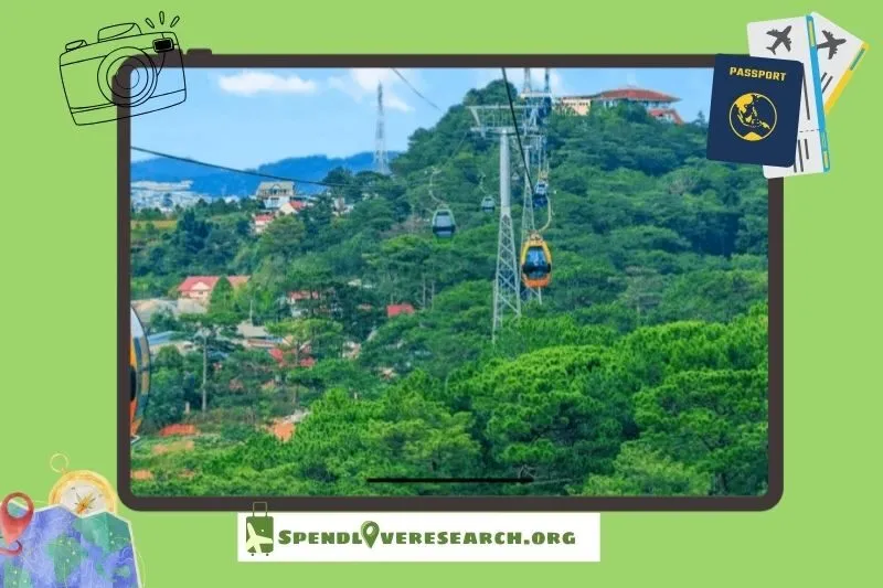 Tổ chức picnic và thư giãn cùng gia đình, bạn bè