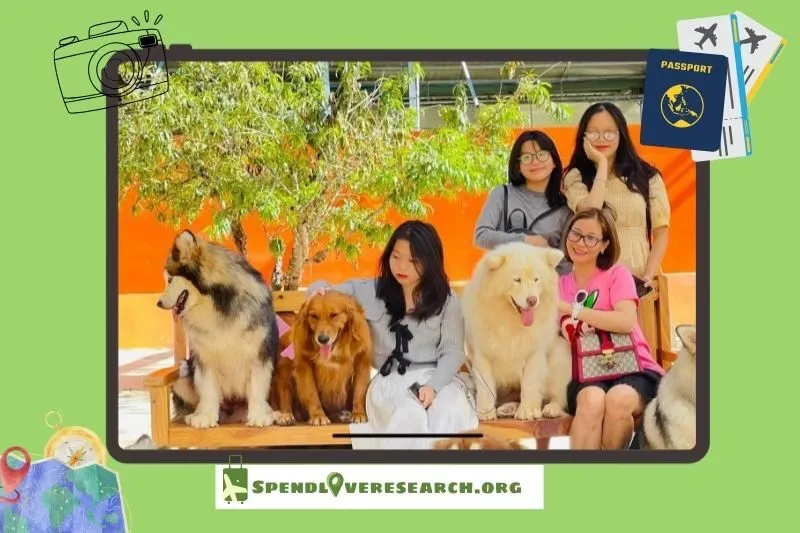 Trang Trại Cún Đà Lạt là gì? Tại sao nơi đây thu hút du khách?