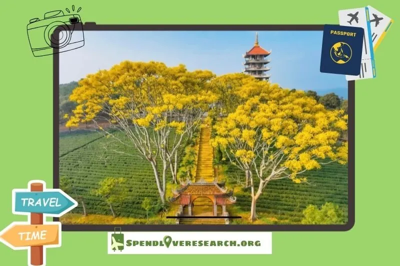 Tu viện Bát Nhã Bảo Lộc ở đâu? Hướng dẫn đường đi chi tiết