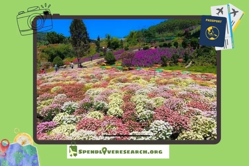 Vườn hoa bảy màu – Góc check-in rực rỡ